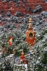 Amitabha Stupa Winter