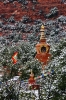 Amitabha Stupa Winter