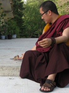 His Holiness Karma Kuchen Rinpoche