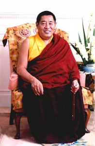 H.H-Khenpo-Jigme-Phuntsokforwebsite